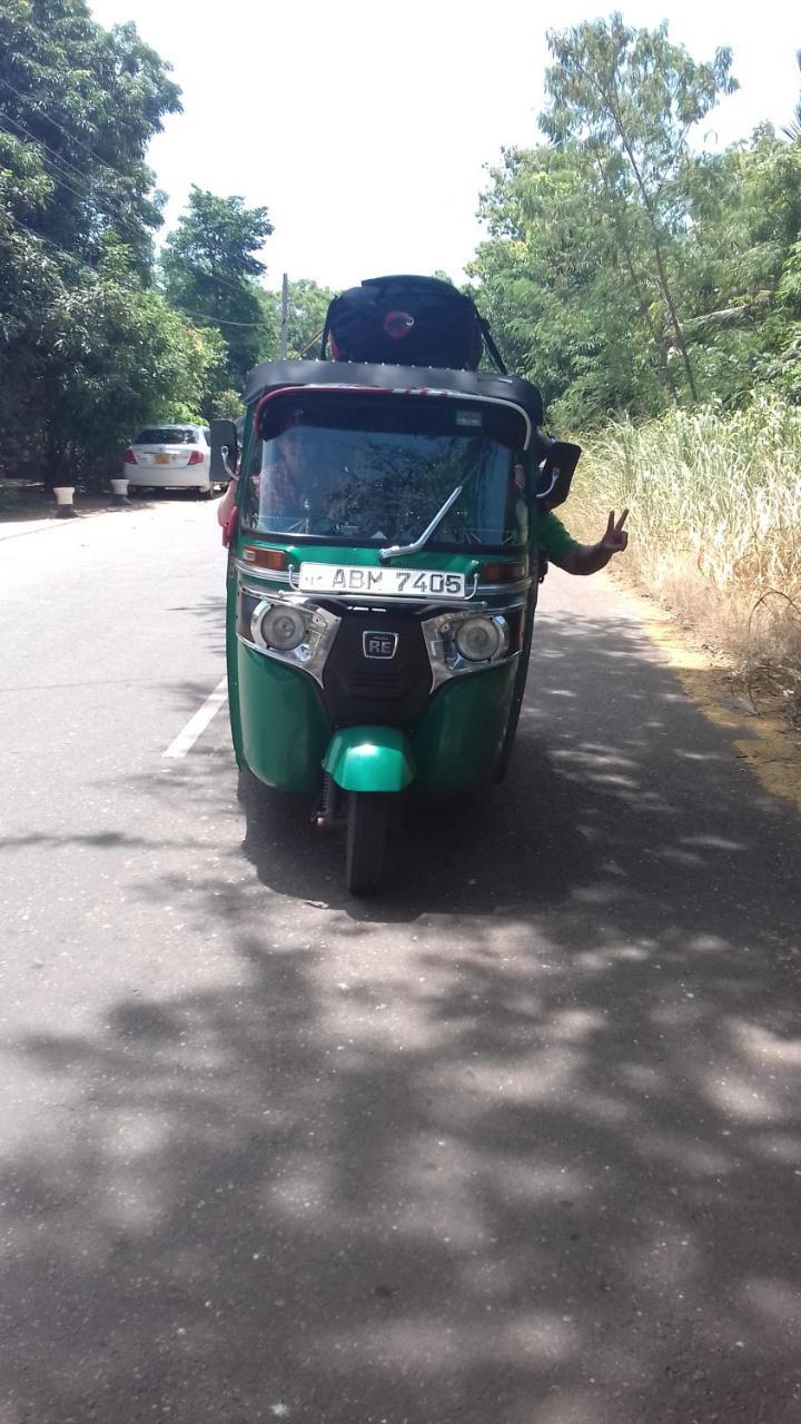 Wilpattu Dolosmahe Luaran gambar