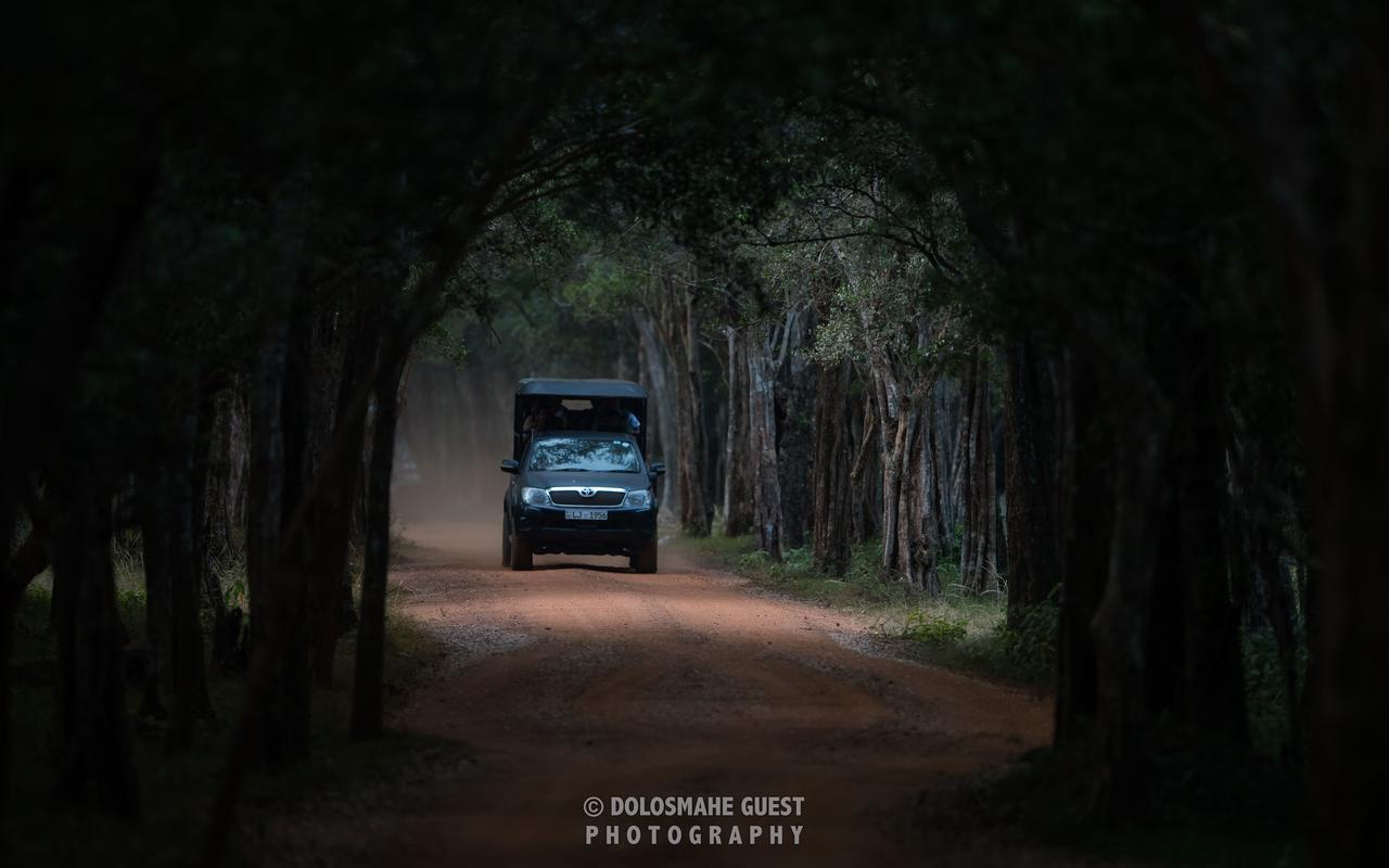 Wilpattu Dolosmahe Luaran gambar